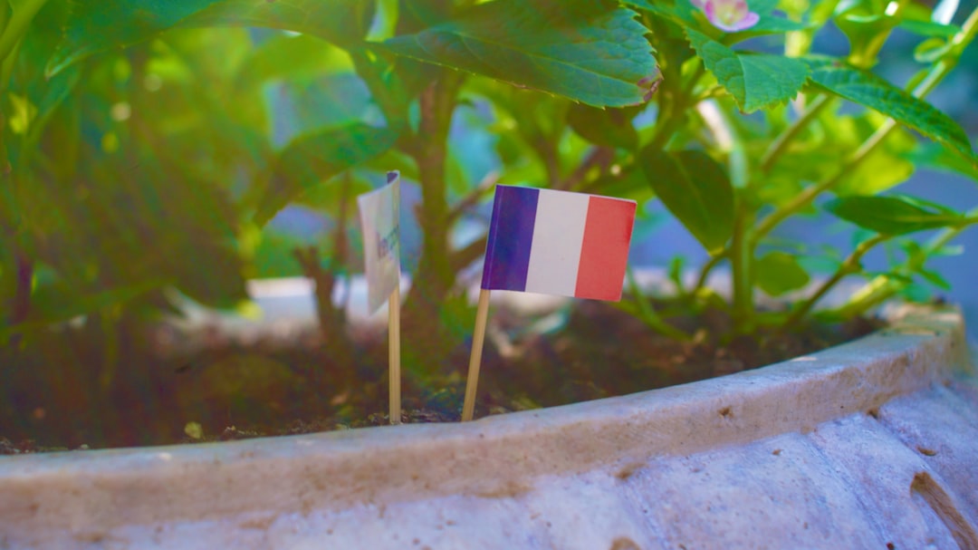 two small flags sticking out of a potted plant